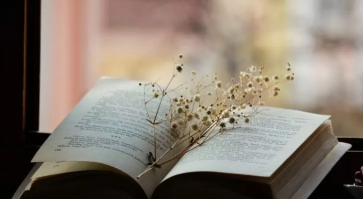 Открытая книга на подоконнике, а сверху лежит цветок.