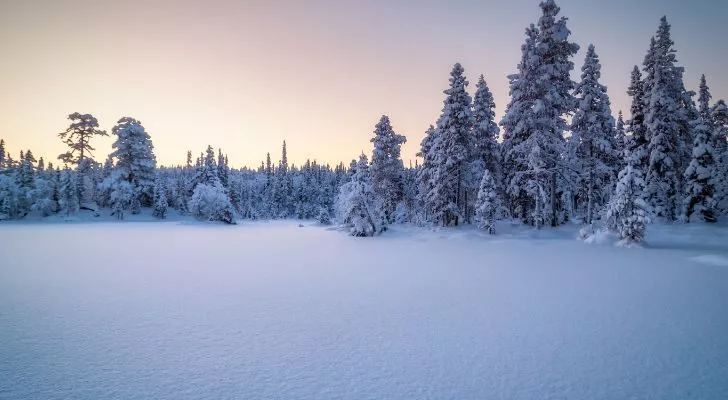 Зимний пейзаж на закате с заснеженными деревьями