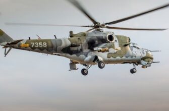 Стрижи интересные факты: 50 удивительных фактов о стрижах