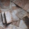 Екатерина 2 интересные факты: удивительные особенности жизни великой монархини