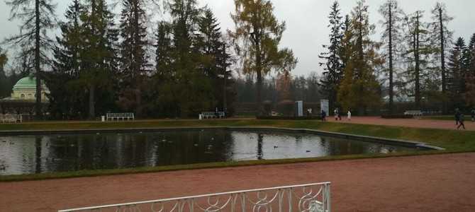 5. Отношения императрицы с детьми и внуками