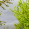 Интересные факты про Чехова 4 класс: 16 удивительных открытий
