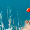 Интересные факты о Крыме: 50 фактов, которые удивят