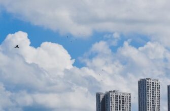 Подборка интересных фактов: 100 необычных и невероятных фактов