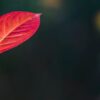 Очень интересные факты на любой вкус: 100+ фактов, которые удивят и поразят