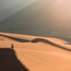 Интересные факты Петра Великого: 10 удивительных открытий