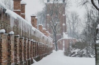 Самые интересные факты о Пушкине: удивительные аспекты жизни поэта