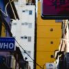 10 Удивительных Фактов о Ехиднах: Погружение в Мир Колючих Шаров