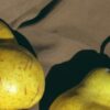 Заболоцкий интересные факты: 20 фактов о жизни и творчестве поэта